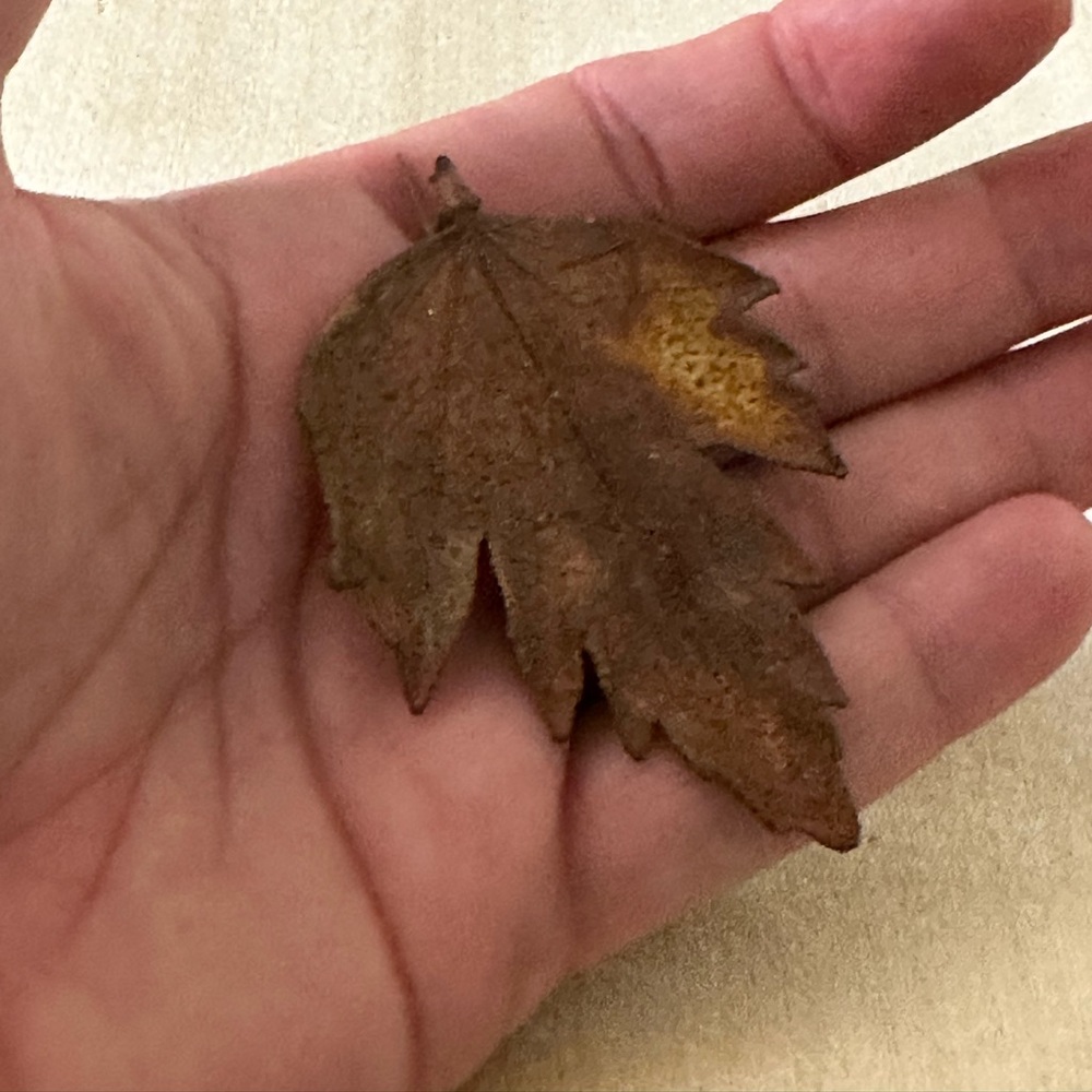 Vintage Handcrafted Carved Realistic Browns & Yellow Leaf Brooch / Pin.